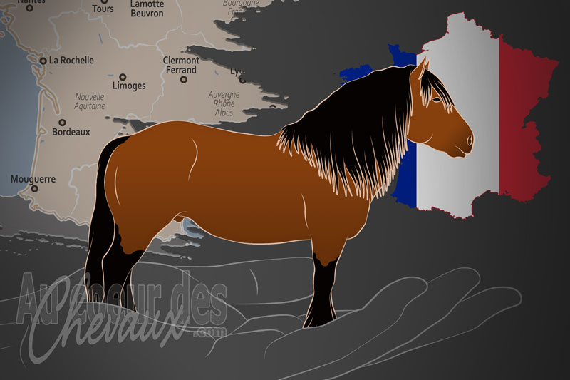 L'Association d'�leveur de Chevaux de Trait du Pays Basque, une organisation qui g�re le cheval de montagne du pays basque en france