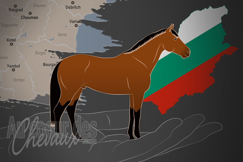 L'Association du Bulgare Oriental un organisme de race en Bulgarie