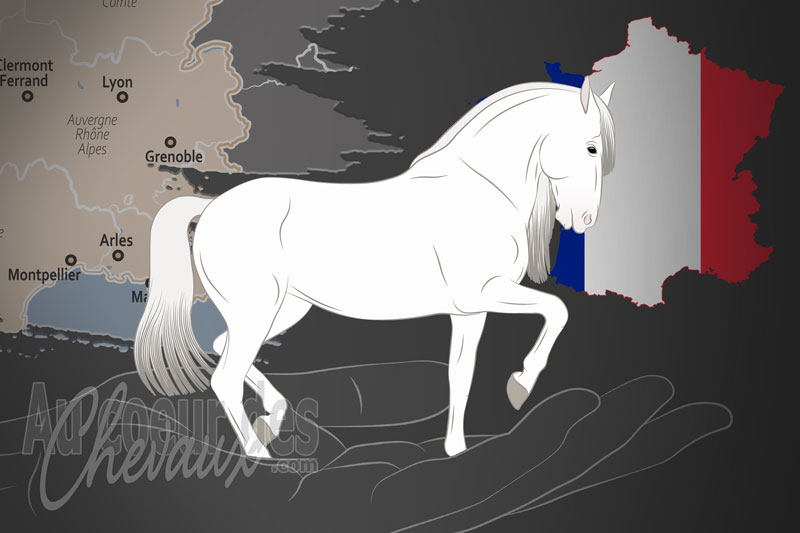 L'Association Fran�aise des �leveurs de Chevaux du Pure Race Espagnole un organisme de race en France