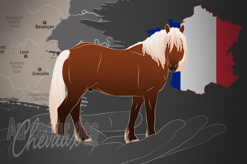 L'Association Nationale du Cheval de trait Comtois, un organisme de gestion de race de chevaux en France