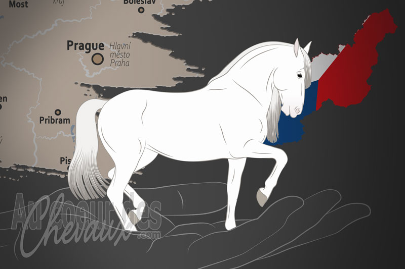 L'Association of Friends of Pre of the Czech Republic un organisme de race en Tch�quie