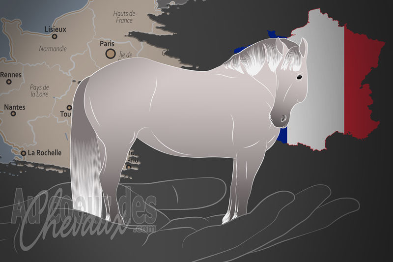 L'Association pour la Relance du Cheval de Trait en Basse Normandie, une organisation qui g�re le cheval augeron en france