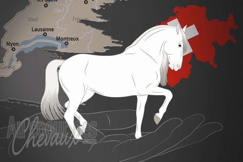 L'Association Suisse des �leveurs de Chevaux de Pure Race Espagnole un organisme de race en Suisse