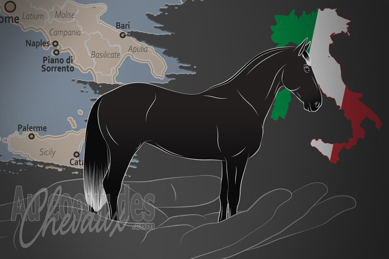 L'Association des �leveurs de la Province de Naples, un organisme de gestion du napolitain en italie