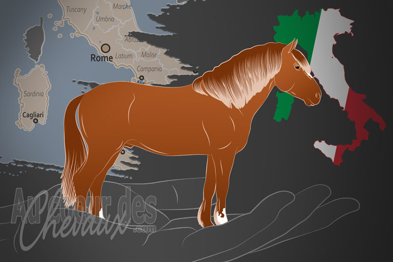 L'Association Italienne des �leveurs, un organisme de gestion de l'appennin en italie