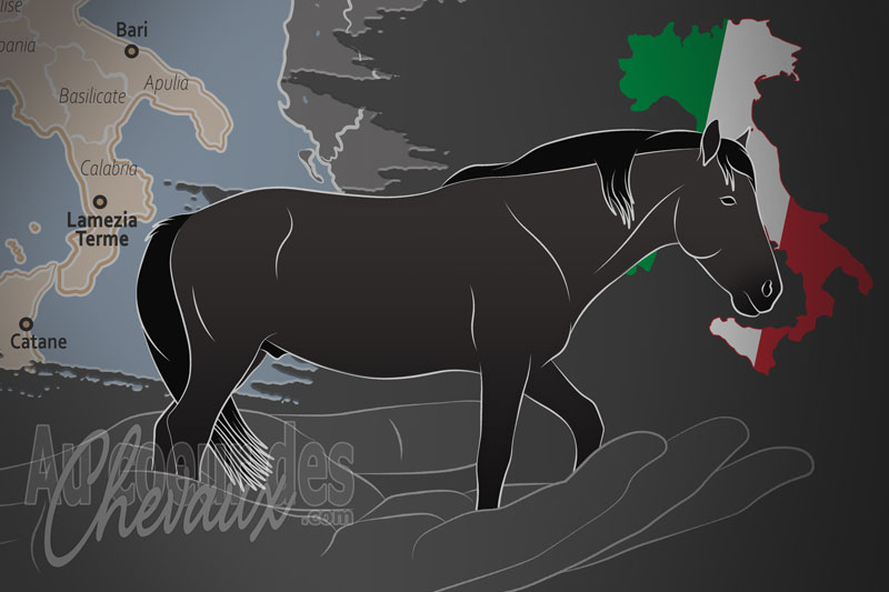 L'Association Italienne des Races Indig�nes Menac�es D'extinction, un organisme de gestion de l'esperia en italie