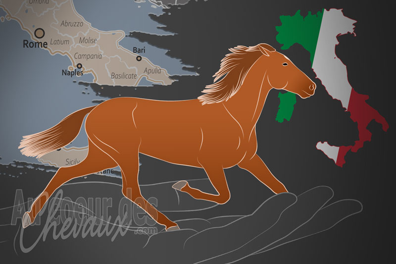 L'Association Nationale des �leveurs de Chevaux Trotteurs, un organisme de gestion du trotteur italien en italie