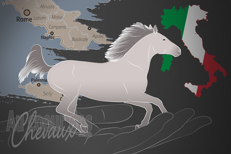 L'Association R�gionale des �leveurs de Campanie, un organisme de gestion du persano en italie