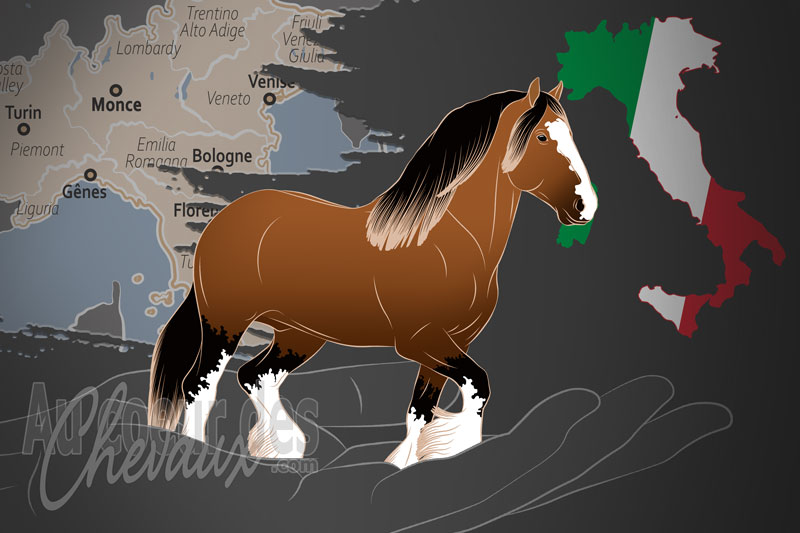 L'Association Italienne du Cheval Shire, une organisation qui g�re le cheval shire en italie