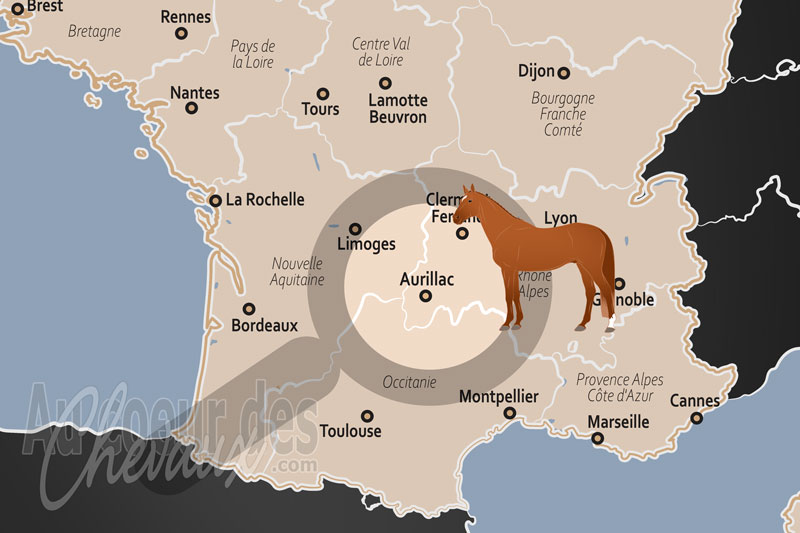Aurillac, le cheval de montagne entre tradition d'�tat et r�silience territoriale
