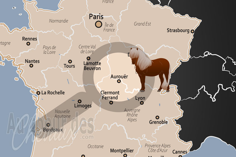 Aurou�r, tradition d'�levage et excellence �questre au c?ur du bourbonnais
