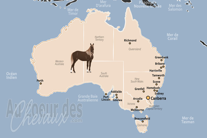 L'Australie, entre mythe du brumby et excellence sportive