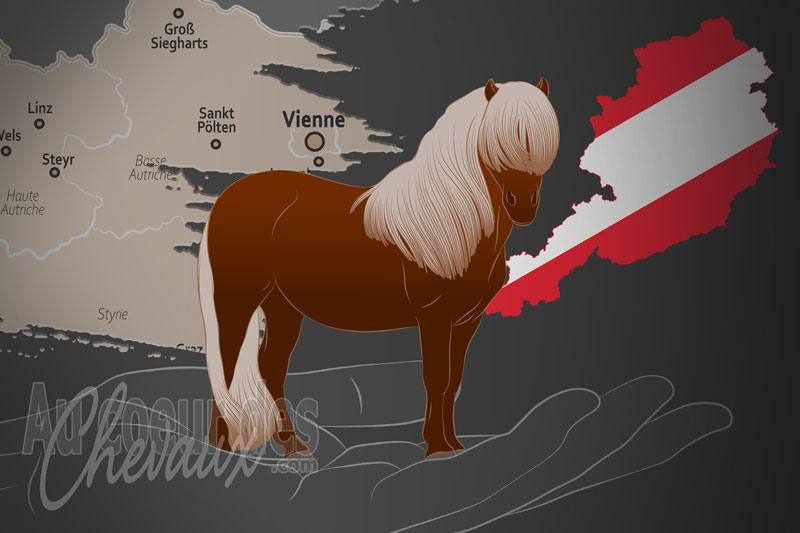 L'Austrian Stud Book Society for Ponies un organisme de race en Autriche