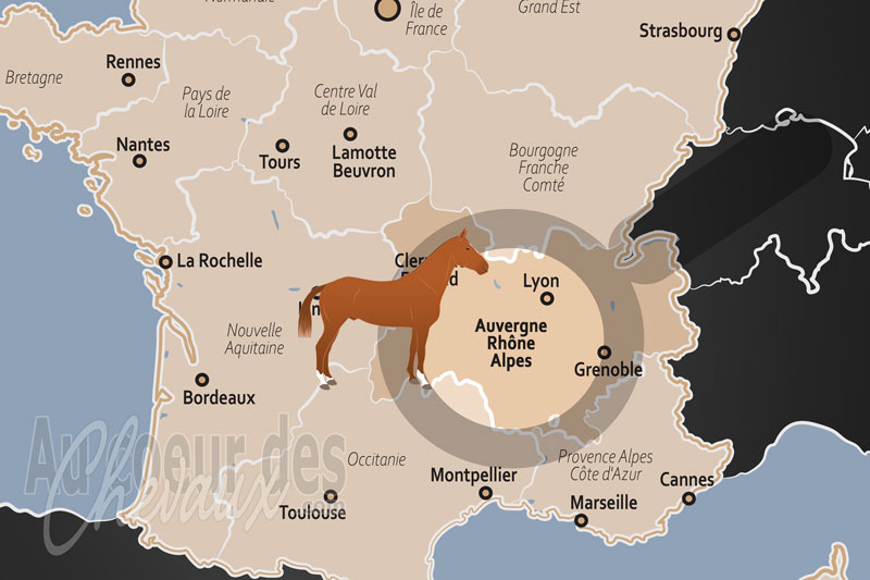 La R�gion Auvergne Rh�ne Alpes, un carrefour majeur de l'excellence �questre