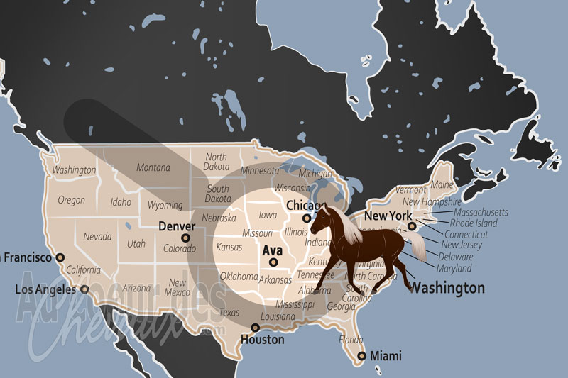 La localisation d'Ava aux �tats Unis