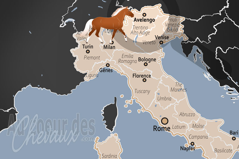 Avelengo, le berceau mondial du cheval haflinger