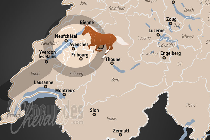 La localisation des Avenches en Suisse