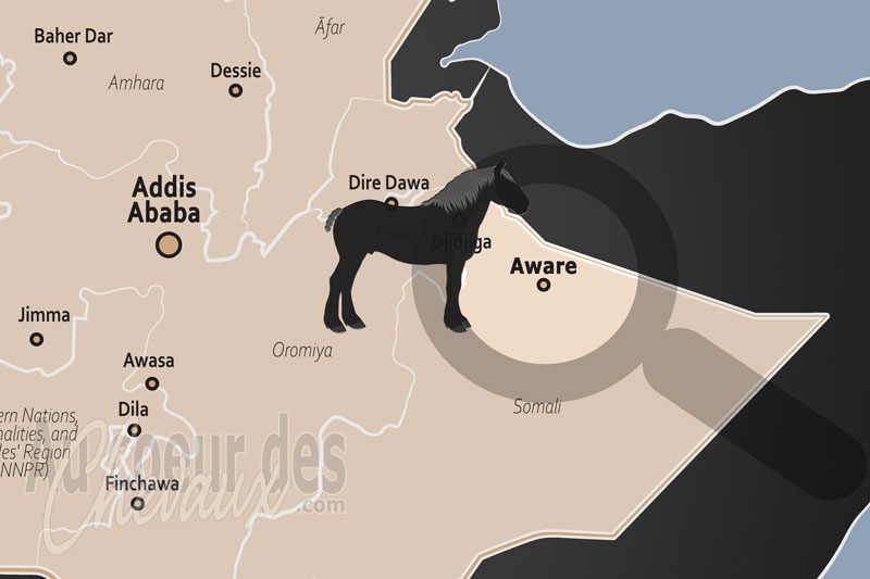 Aware, l'�quid�, pilier de la r�silience pastorale en milieu aride