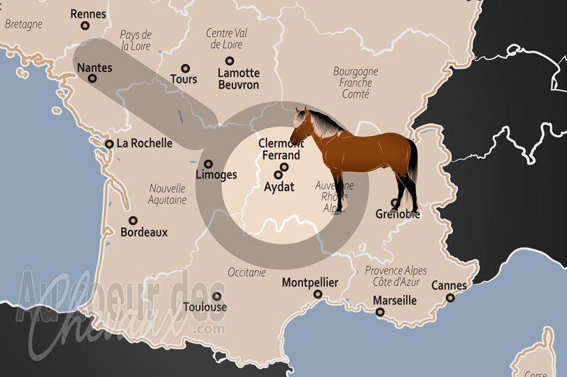 Aydat, l'�quitation au c?ur des volcans et des grands espaces auvergnats