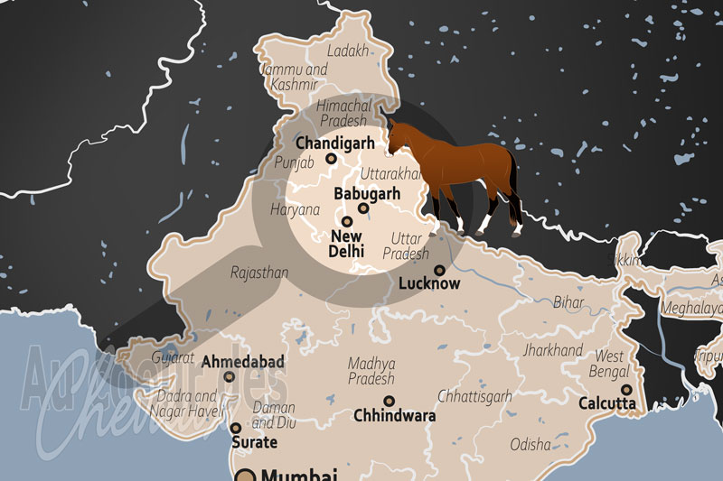 Babugarh, le sanctuaire militaire du cheval et de la mule