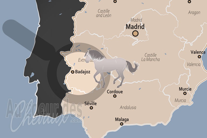 Badajoz, le berceau de l'�levage �quin et l'ame de la dehesa