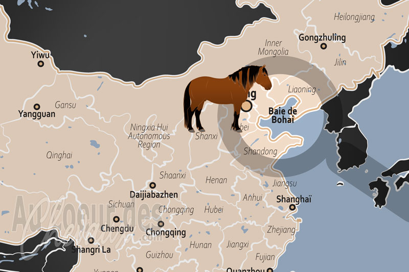 La Baie de Bohai, le galop des crins d'acier entre terre et mer