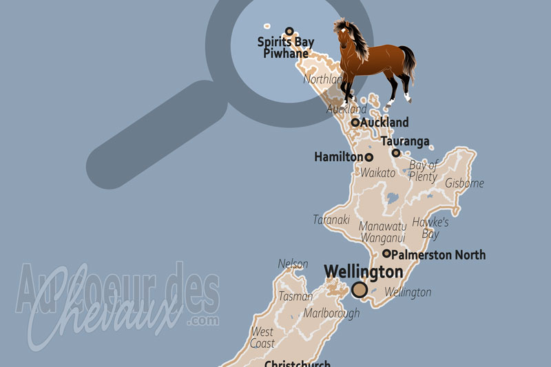 La Baie de Spirits, le galop des esprits au bout du monde