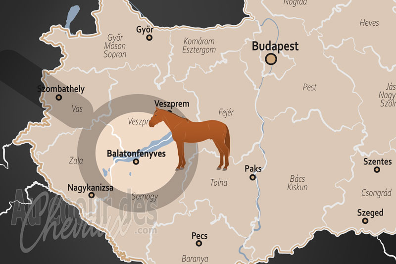 La localisation de Balatonfenyves en Hongrie