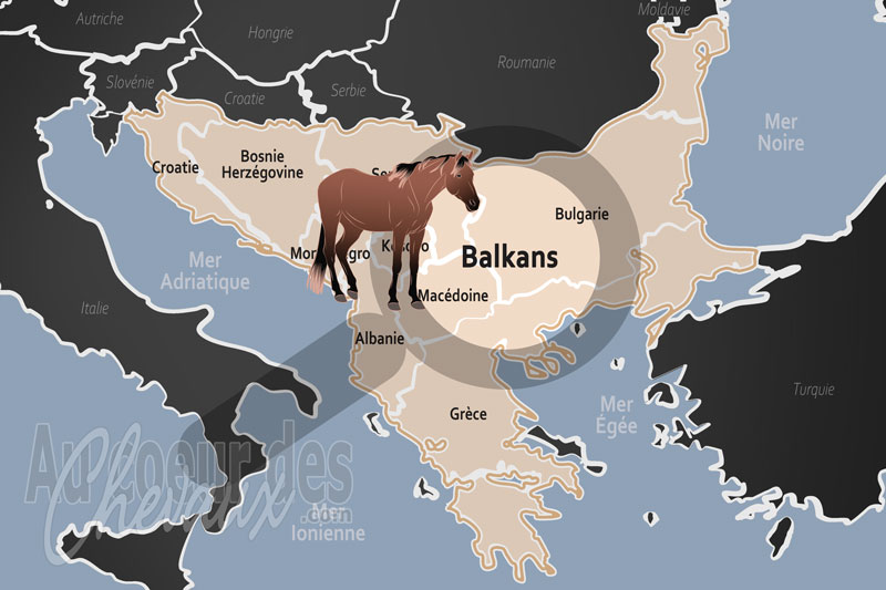 Les Balkans, une �pop�e de fer et de crins entre cimes et plaines