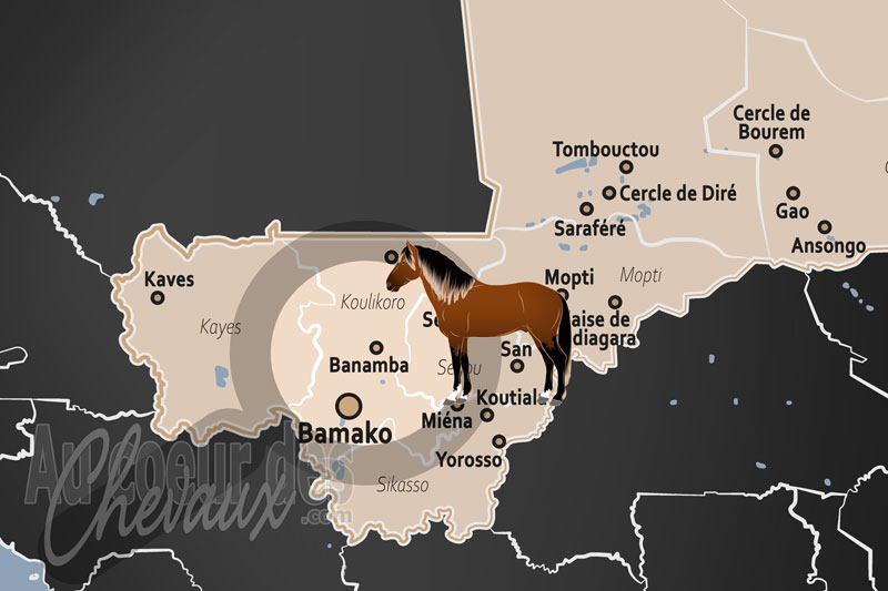 La localisation d'Banamba au Mali