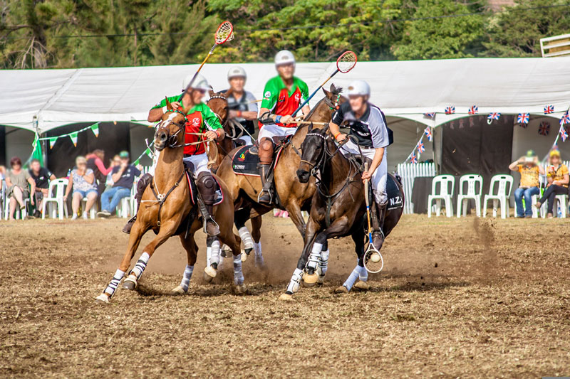 Des chevaux avec des bandes de polo pendant une partie