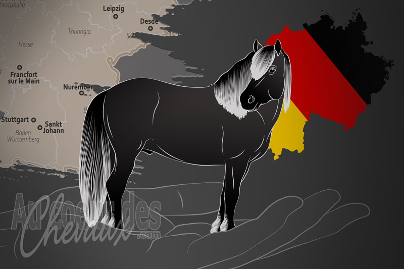 L'Association Allemande du Cheval Bardigiano e.V., une organisation qui g�re le cheval bardigiano en allemagne