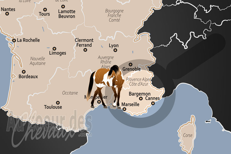 Bargemon, l'art de l'�quitation entre oliveraies et montagnes du haut-var