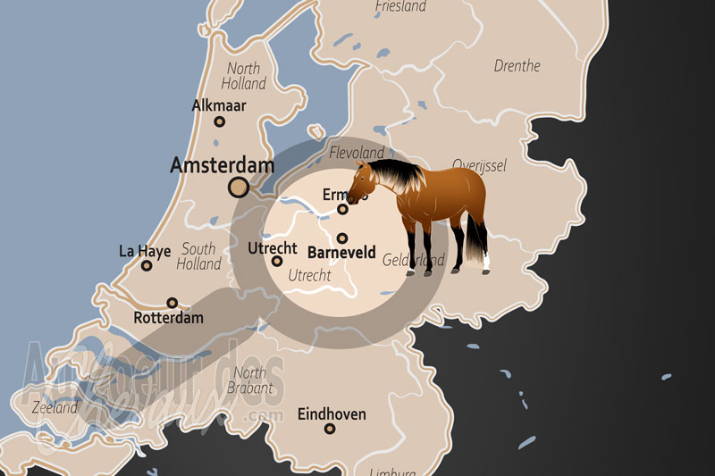 La localisation de Barneveld aux Pays Bas