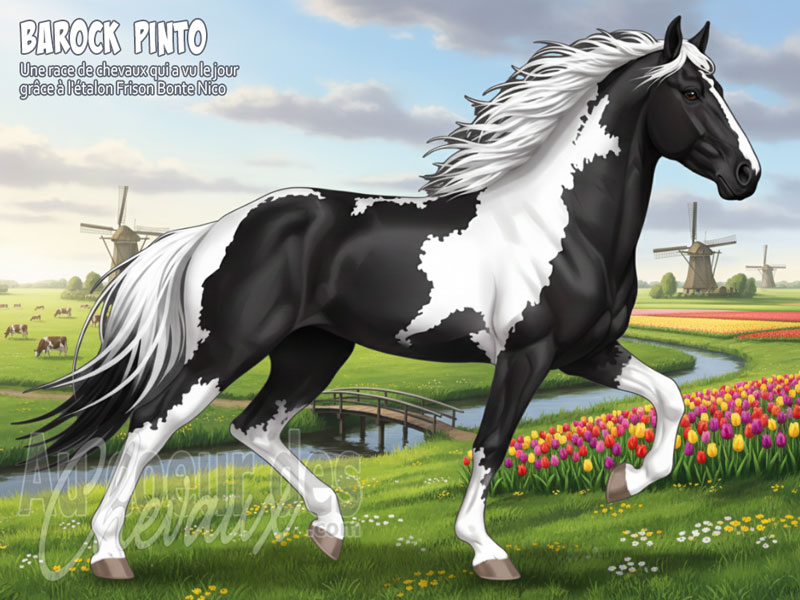 Le Cheval Barock Pinto, la renaissance d'un id�al en couleurs
