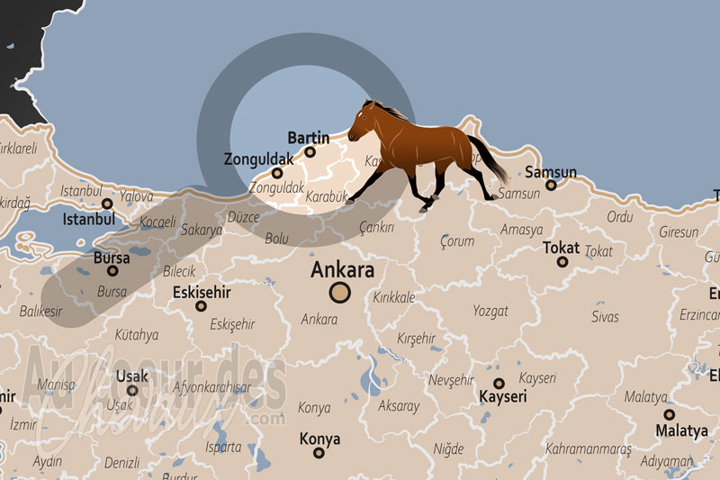 La localisation de Bartin en Turquie