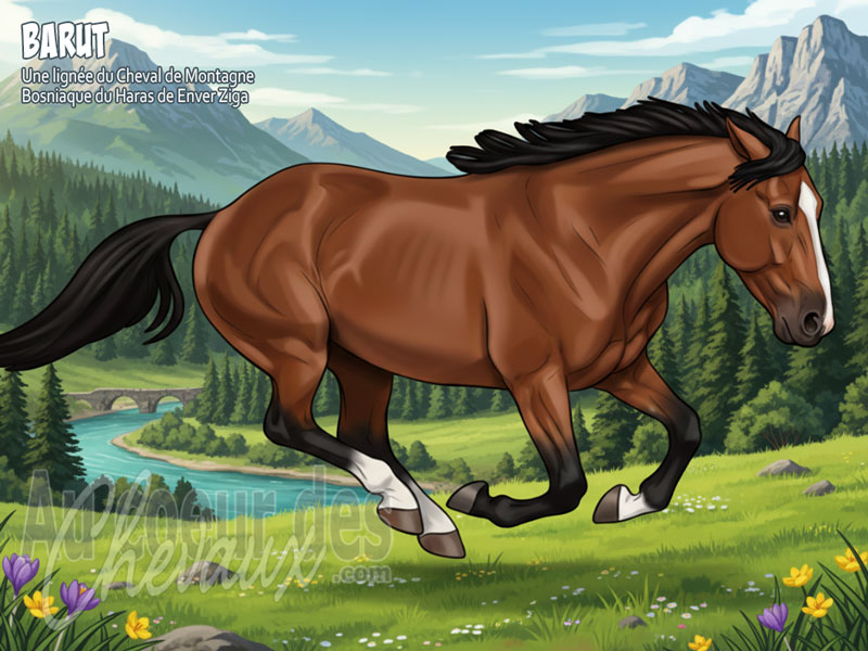 Le Cheval Barut, la lign�e d'acier de bosnie-herz�govine