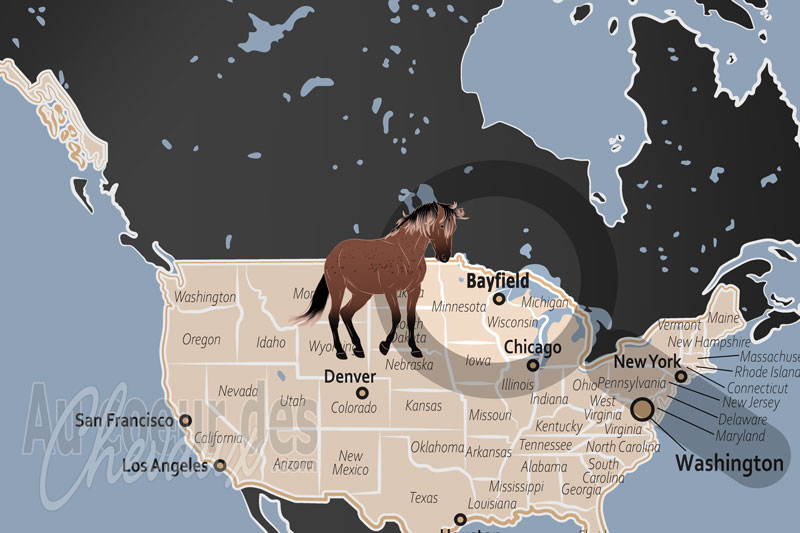 La localisation de Bayfield aux �tats Unis