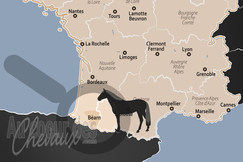 La localisation du B�arn en France