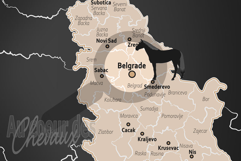 Belgrade, un carrefour historique et sportif de la culture �questre dans les balkans