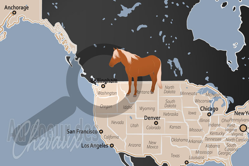 La localisation de Bellingham aux �tats Unis