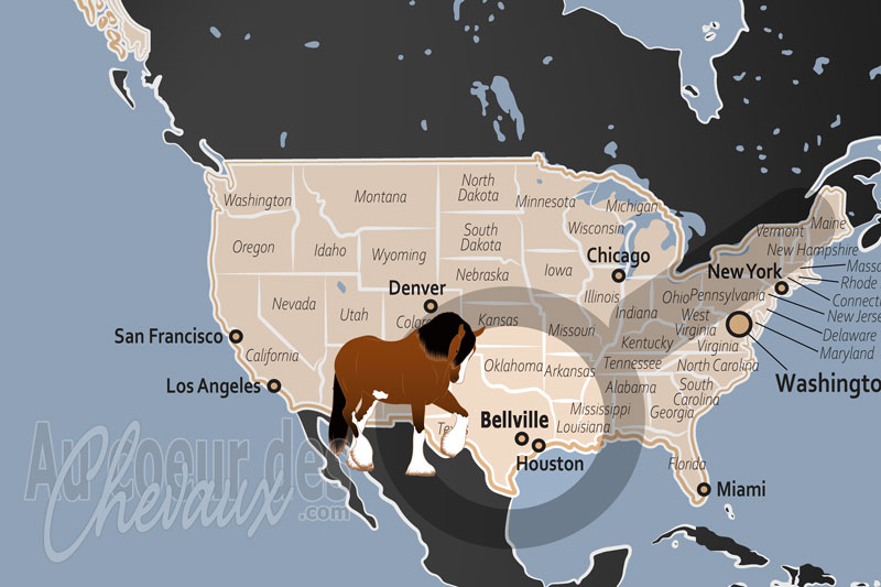 La localisation de Bellville aux �tats Unis