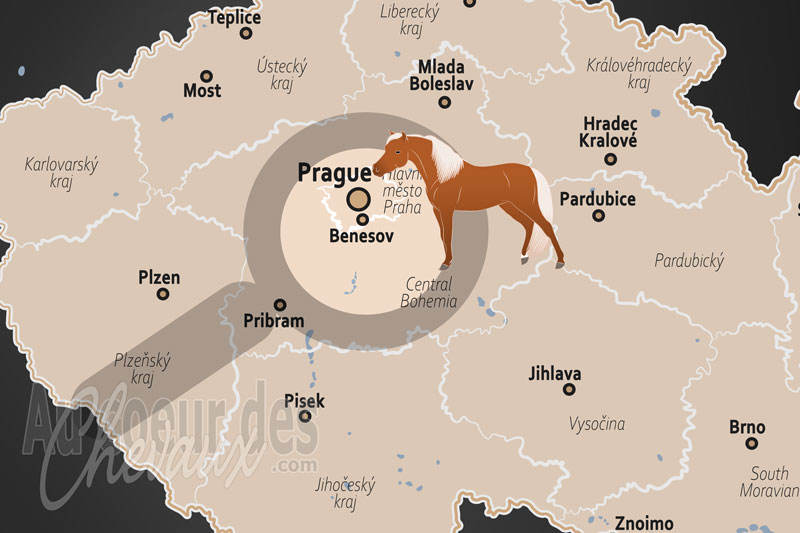 Benesov, un haut lieu de la tradition �questre et des courses en boh�me centrale