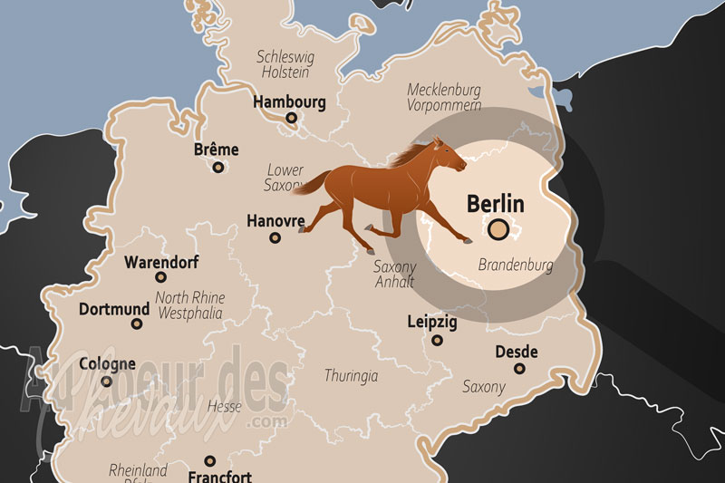 Berlin, une capitale europ�enne fa�onn�e par l'h�ritage �questre