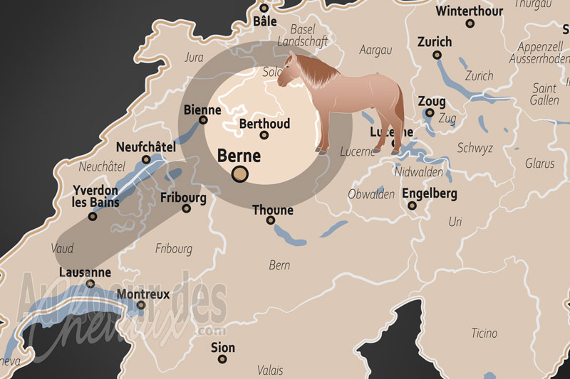 La localisation de Berthoud en Suisse