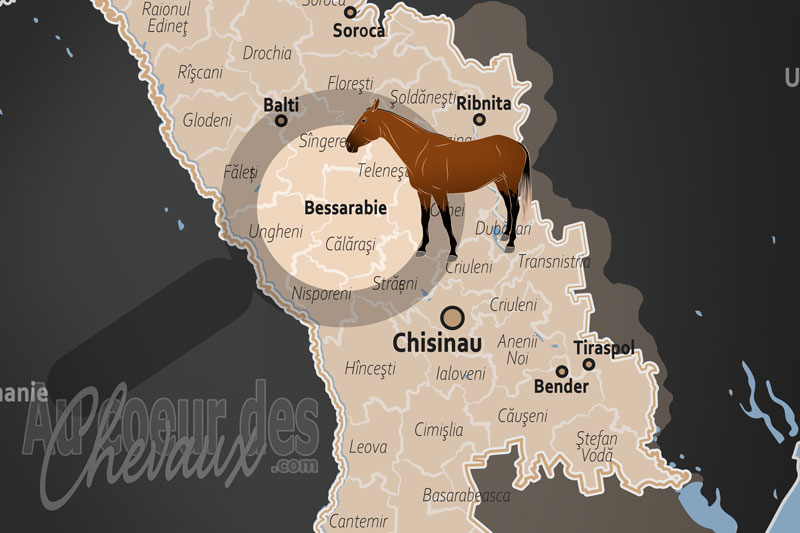 La Bessarabie, le galop des steppes entre danube et dniestr