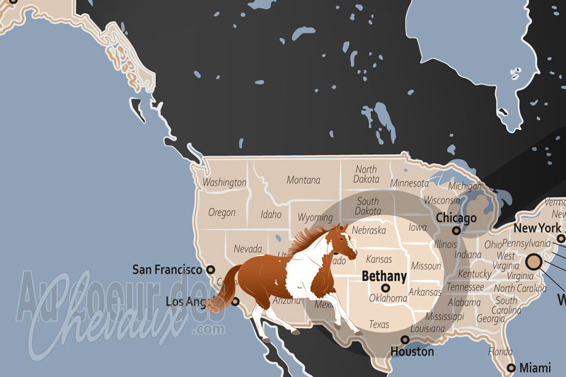 La localisation de Bethany aux �tats Unis