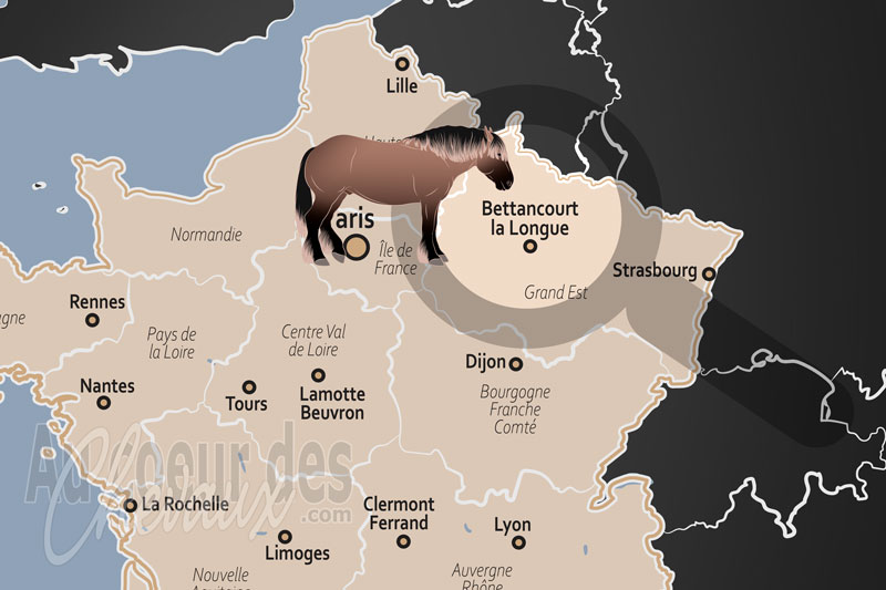Bettancourt la Longue, un p�le de ruralit� �questre et de sport en champagne
