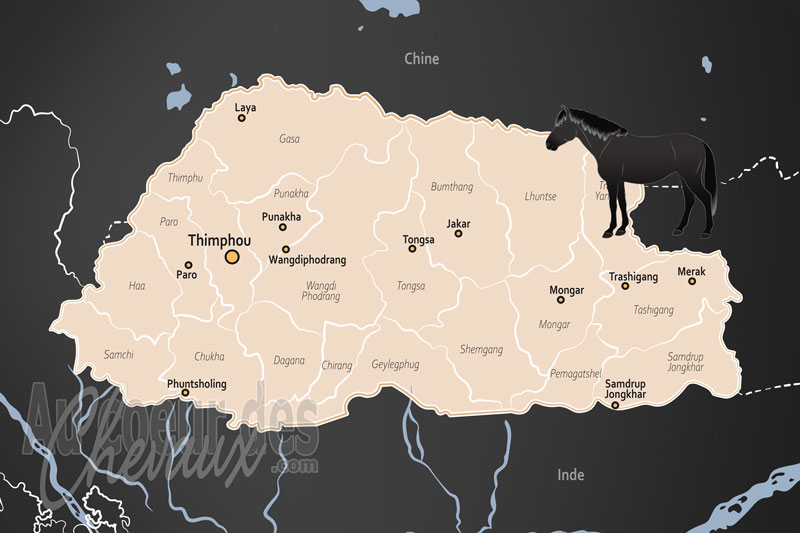 Le Bhoutan, un compagnon sacr� sur le toit du monde