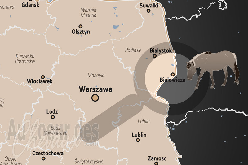 La localisation de Bialowieza en Pologne